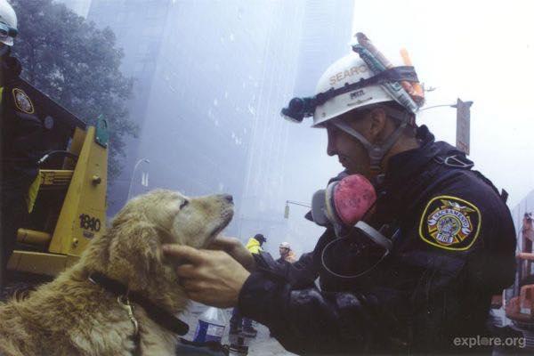 Fireman comforting a search and rescue dog