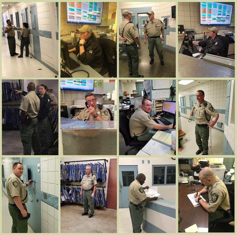 Navarro County Officers doing their various jobs