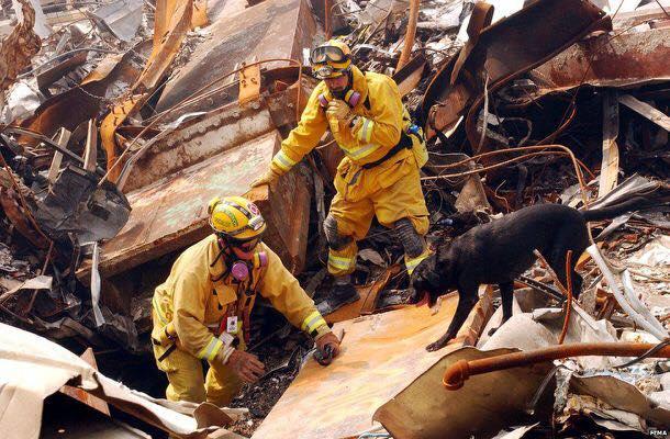 Rescuers and a dog searching