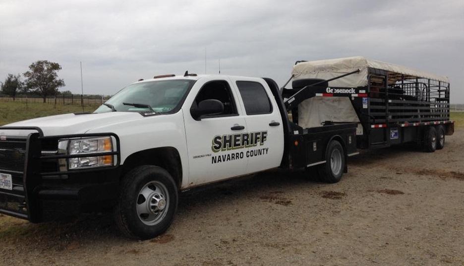 Sheriff truck pulling livestock