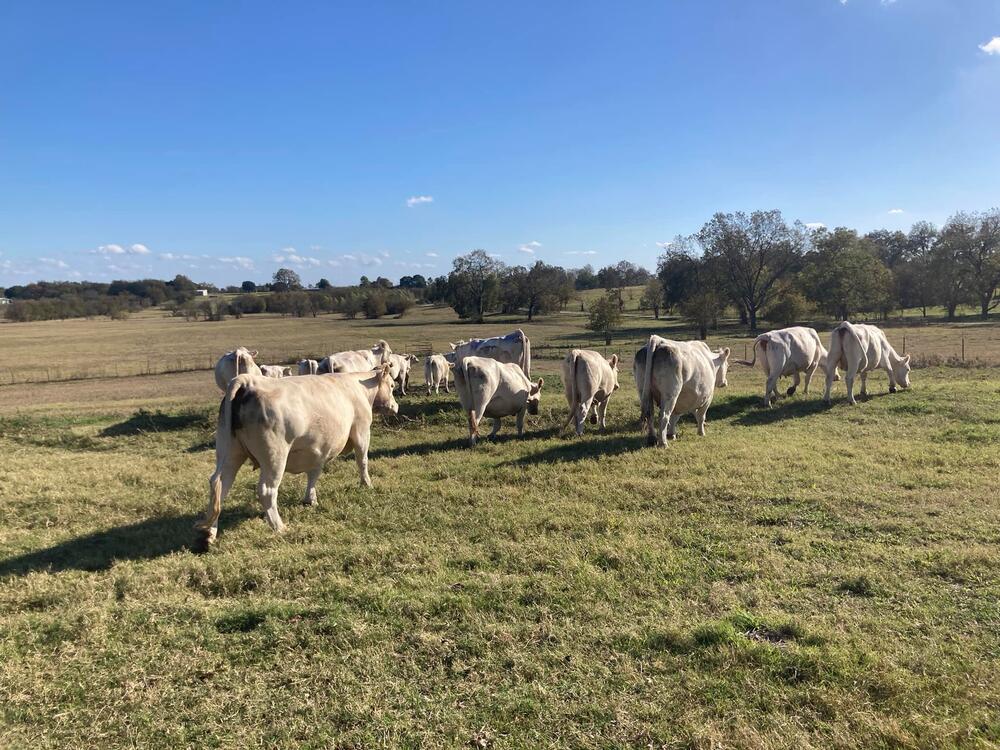 round up county farm