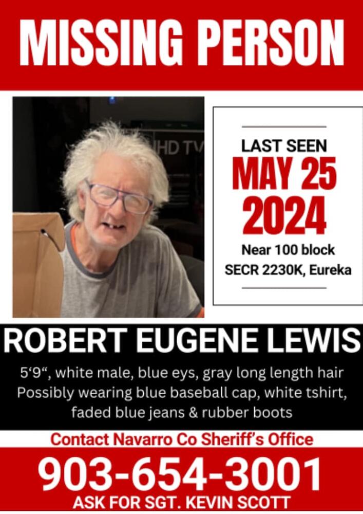 robert eugene lewis