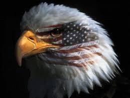 Eagle with American flag superimposed onto face