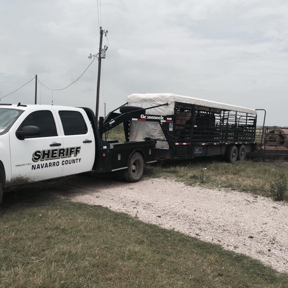 Navarro County Sheriffs vehicle pulling a live stock trailer